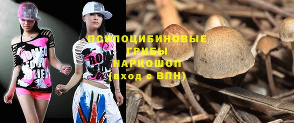 mix Медногорск