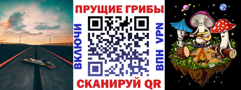 Галлюциногенные грибы Cubensis  цена наркотик  Камышин 
