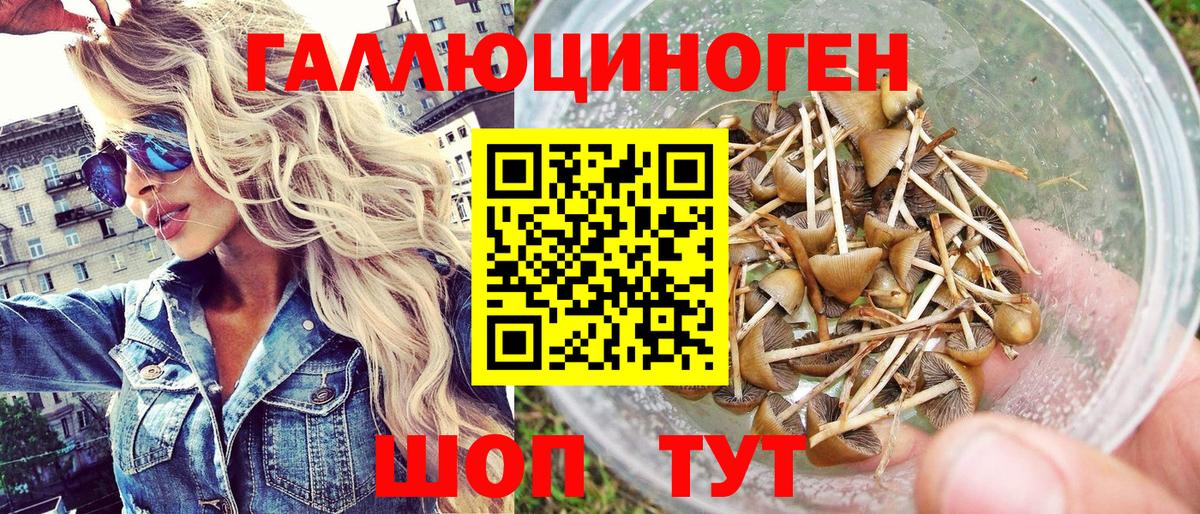 Галлюциногенные грибы Cubensis  Галлюциногенные грибы MAGIC MUSHROOMS  Вход с VPN  Камышин 